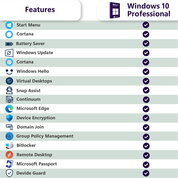 Microsoft Windows 10 Professional + Microsoft Office 2019 Professional Plus License for 3 devices - Image 2